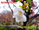 ֹ,󷨵ӹ編ִʦ𻪵(22)
