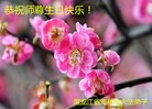 ֹ,󷨵ӹ編ִʦ𻪵(24)

