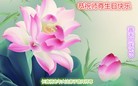 ֹ,󷨵ӹ編ִʦ𻪵(20)
