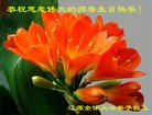 ֹ,ʡ󷨵ӹ編ִʦ𻪵(24)
