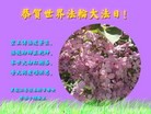 ֹ,ľ˹󷨵ӹ編ִʦ𻪵(21)
