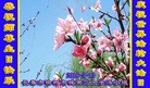 ֹ,󷨵ӹ編ִʦ𻪵(20)
