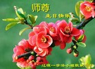 ֹ,ʡ󷨵ӹ編ִʦ𻪵(24)

