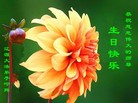 ֹ,ʡ󷨵ӹ編ִʦ𻪵(24)

