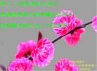 ֹ,󷨵ӹ編ִʦ𻪵(20)
