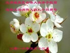 ֹ,󷨵ӹ編ִʦ𻪵(17)
