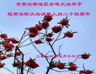 ֹ,󷨵ӹ編ִʦ𻪵(17)
