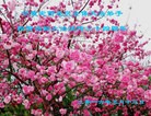 ֹ,󷨵ӹ編ִʦ𻪵(17)
