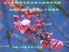ֹ,󷨵ӹ編ִʦ𻪵(17)
