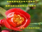 ֹ,󷨵ӹ編ִʦ𻪵(17)
