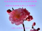 ֹ,󷨵ӹ編ִʦ𻪵(19)
