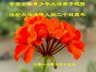 ֹ,󷨵ӹ編ִʦ𻪵(19)
