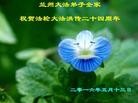 ֹ,󷨵ӹ編ִʦ𻪵(19)
