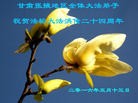 ֹ,󷨵ӹ編ִʦ𻪵(19)
