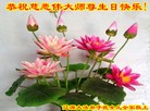 ֹ,ʡ󷨵ӹ編ִʦ𻪵(19)
