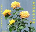 ֹ,ɶ󷨵ӹ編ִʦ𻪵(20)
