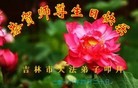 ֹ,д󷨵ӹ編ִʦ𻪵(23)
