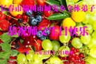 ֹ,󷨵ӹ編ִʦ𻪵(20)
