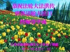 ֹ,󷨵ӹ編ִʦ𻪵(20)

