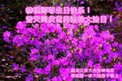 ֹ,󷨵ӹ編ִʦ𻪵(24)
