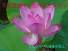 ֹ,ʡ󷨵ӹ編ִʦ𻪵(19)
