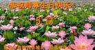 ֹ,󷨵ӹ編ִʦ𻪵(24)
