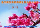 ֹ,󷨵ӹ編ִʦ𻪵(19)
