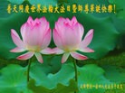 ֹ,ɶ󷨵ӹ編ִʦ𻪵(22)
