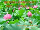 ֹ,󷨵ӹ編ִʦ𻪵(24)
