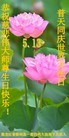 ֹ,󷨵ӹ編ִʦ𻪵(22)
