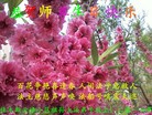 ֹ,ľ˹󷨵ӹ編ִʦ𻪵(18)
