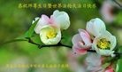 ֹ,󷨵ӹ編ִʦ𻪵(21)
