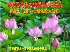 ֹ,ʡ󷨵ӹ編ִʦ𻪵(20)
