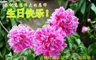ֹ,ʡ󷨵ӹ編ִʦ𻪵(20)
