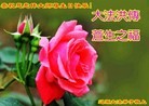 ֹ,ʡ󷨵ӹ編ִʦ𻪵(19)
