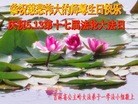 ֹ,ʡ󷨵ӹ編ִʦ𻪵(20)
