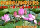 ֹ,ʡ󷨵ӹ編ִʦ𻪵(20)
