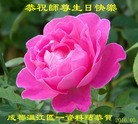 ֹ,ɶ󷨵ӹ編ִʦ𻪵(22)
