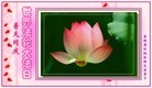 ֹ,ʡ󷨵ӹ編ִʦ𻪵(20)

