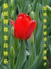 ֹ,ʡ󷨵ӹ編ִʦ𻪵(19)
