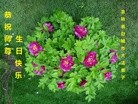 ֹ,ʡ󷨵ӹ編ִʦ𻪵(19)
