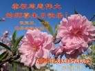 ֹ,󷨵ӹ編ִʦ𻪵(23)
