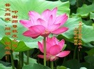ֹ,󷨵ӹ編ִʦ𻪵(23)
