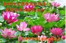 ֹ,󷨵ӹ編ִʦ𻪵(23)
