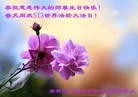 ֹ,ʡ󷨵ӹ編ִʦ𻪵(19)
