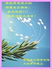 ֹ,ʡ󷨵ӹ編ִʦ𻪵(19)

