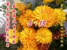ֹ,󷨵ӹ編ִʦ𻪵(21)

