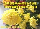 ֹ,󷨵ӹ編ִʦ𻪵(21)
