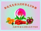 ֹ,󷨵ӹ編ִʦ𻪵(20)
