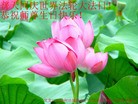 ֹ,󷨵ӹ編ִʦ𻪵(22)
